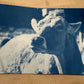 August 1 - Cyanotype Photographs