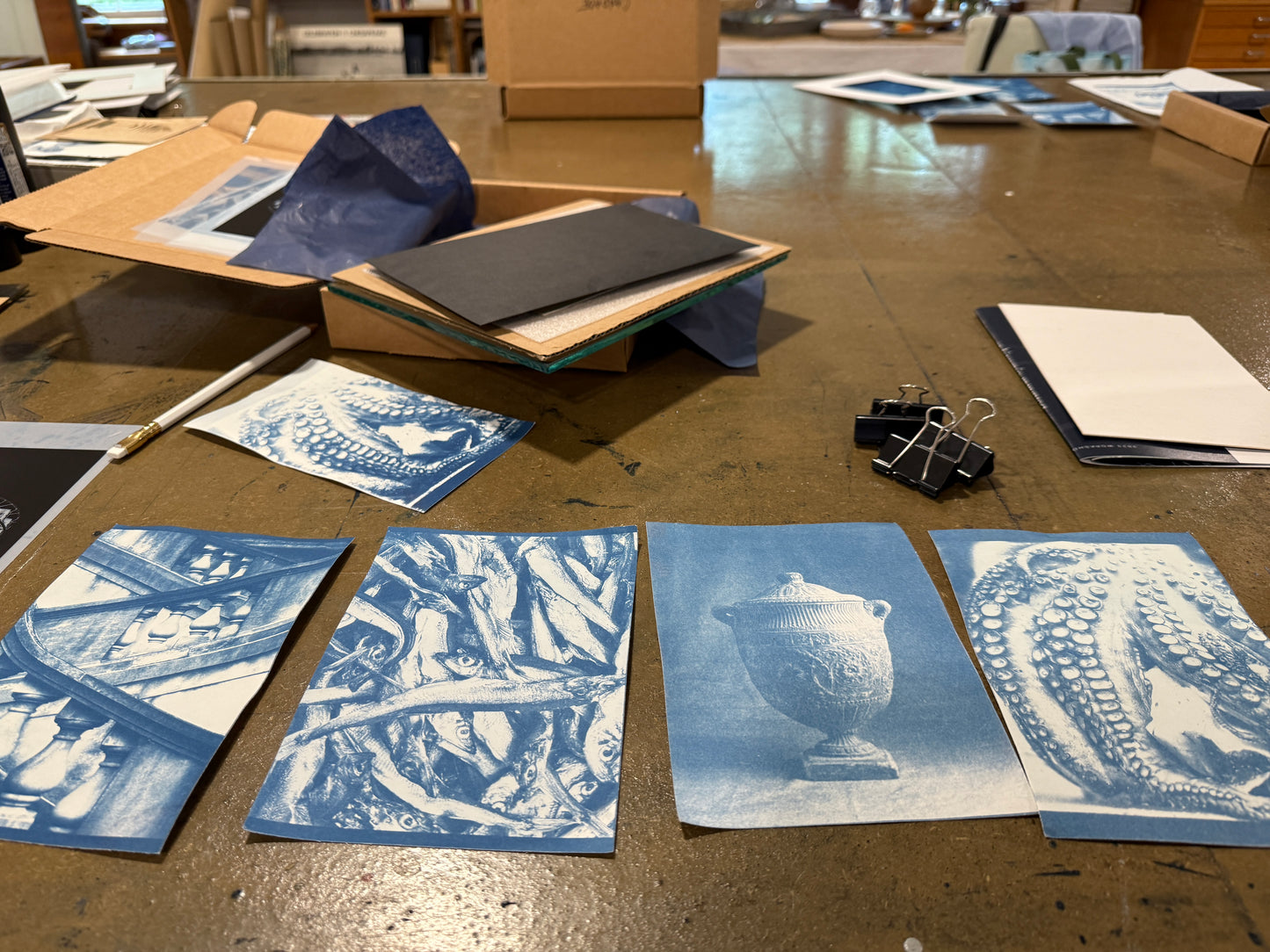 August 1 - Cyanotype Photographs
