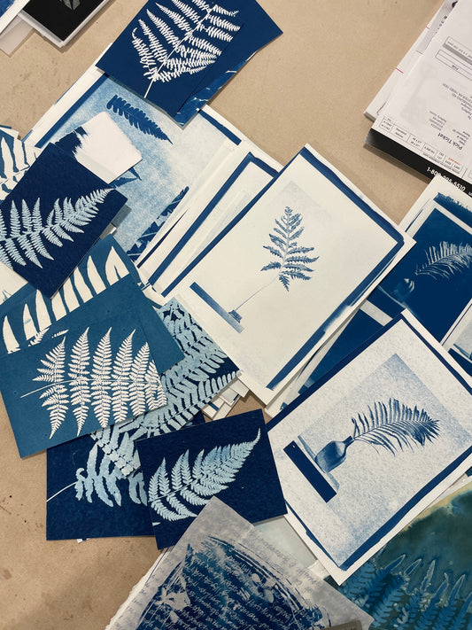 September 20 - Cyanotype Photographs