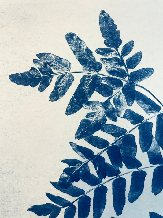 September 20 - Cyanotype Photographs
