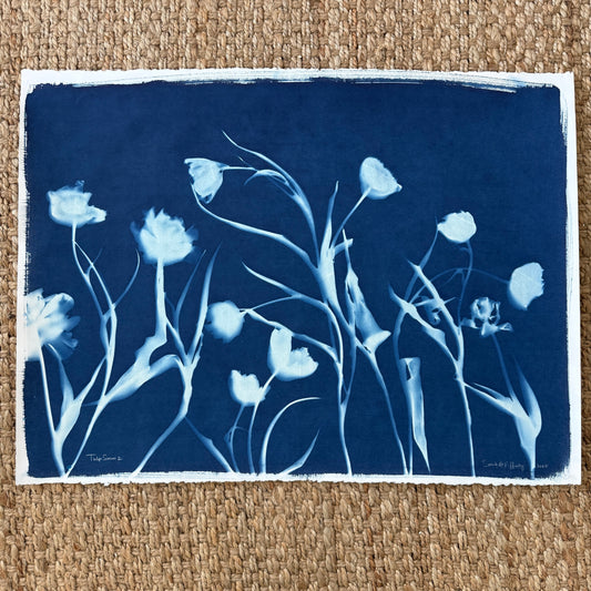 Tulip Season 2 - 22" x 30" - UNFRAMED