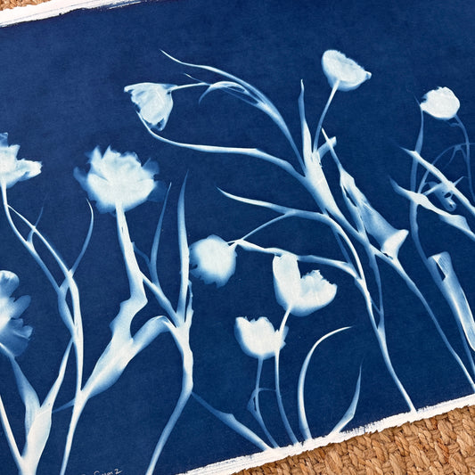 Tulip Season 2 - 22" x 30" - UNFRAMED