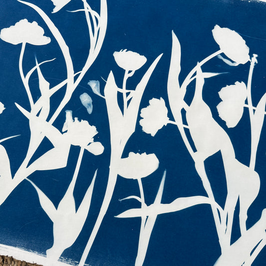 Tulip Season 1 - 22" x 30" - UNFRAMED