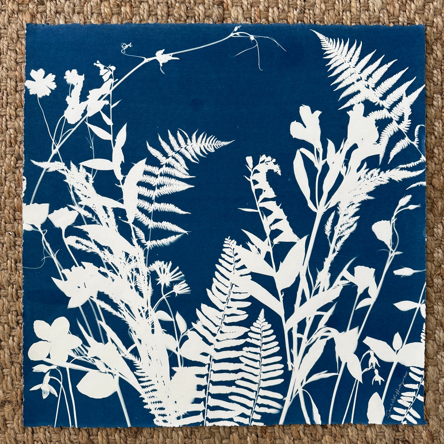 Enveloped in the Summer no. 1 - FRAMED