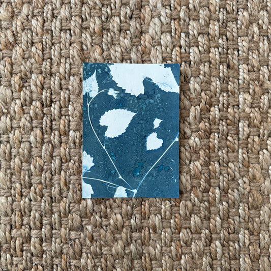 Grapevines - 5" x 7" - UNFRAMED