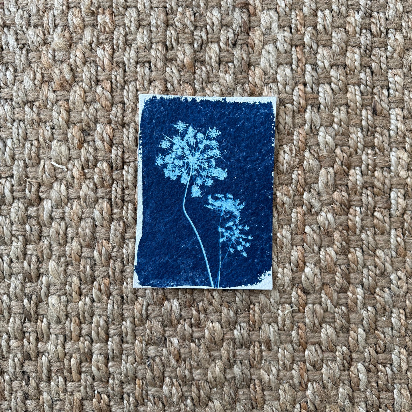 Protected - 5" x 7" - UNFRAMED