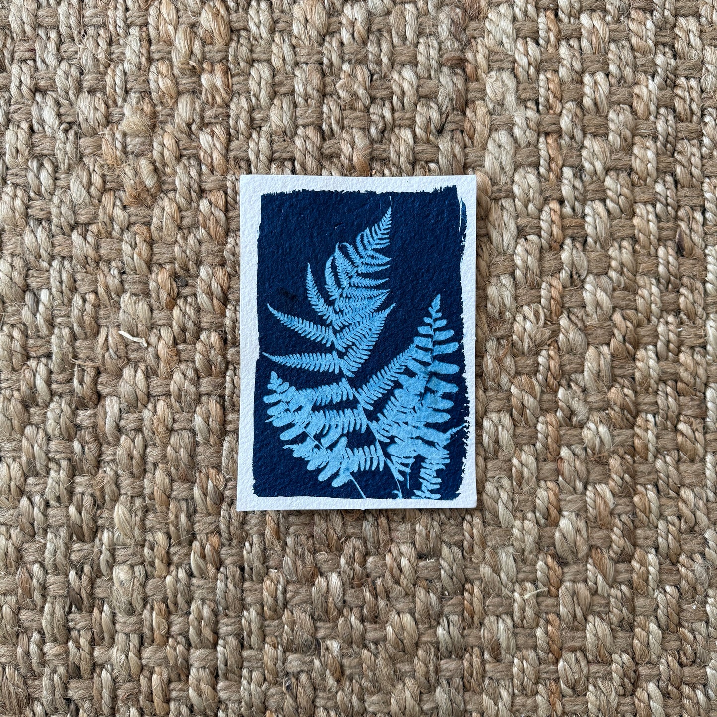Talking Fern - 5" x 7" - UNFRAMED