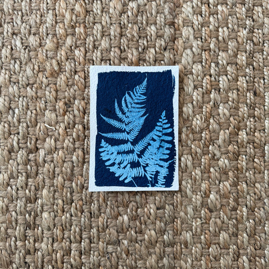 Talking Fern - 5" x 7" - UNFRAMED