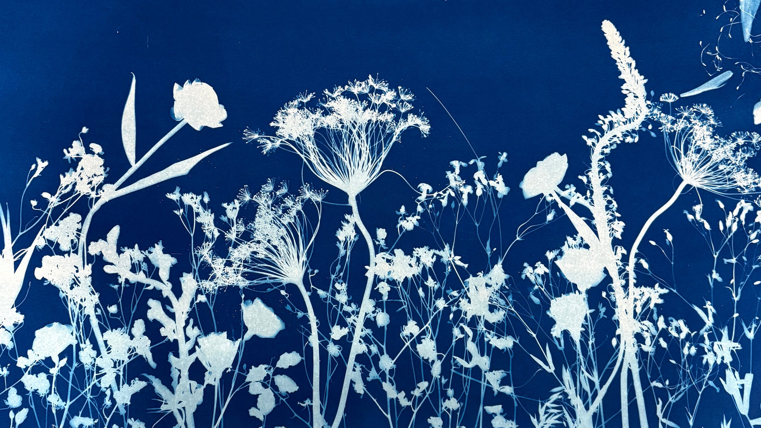 White floral design on a blue background