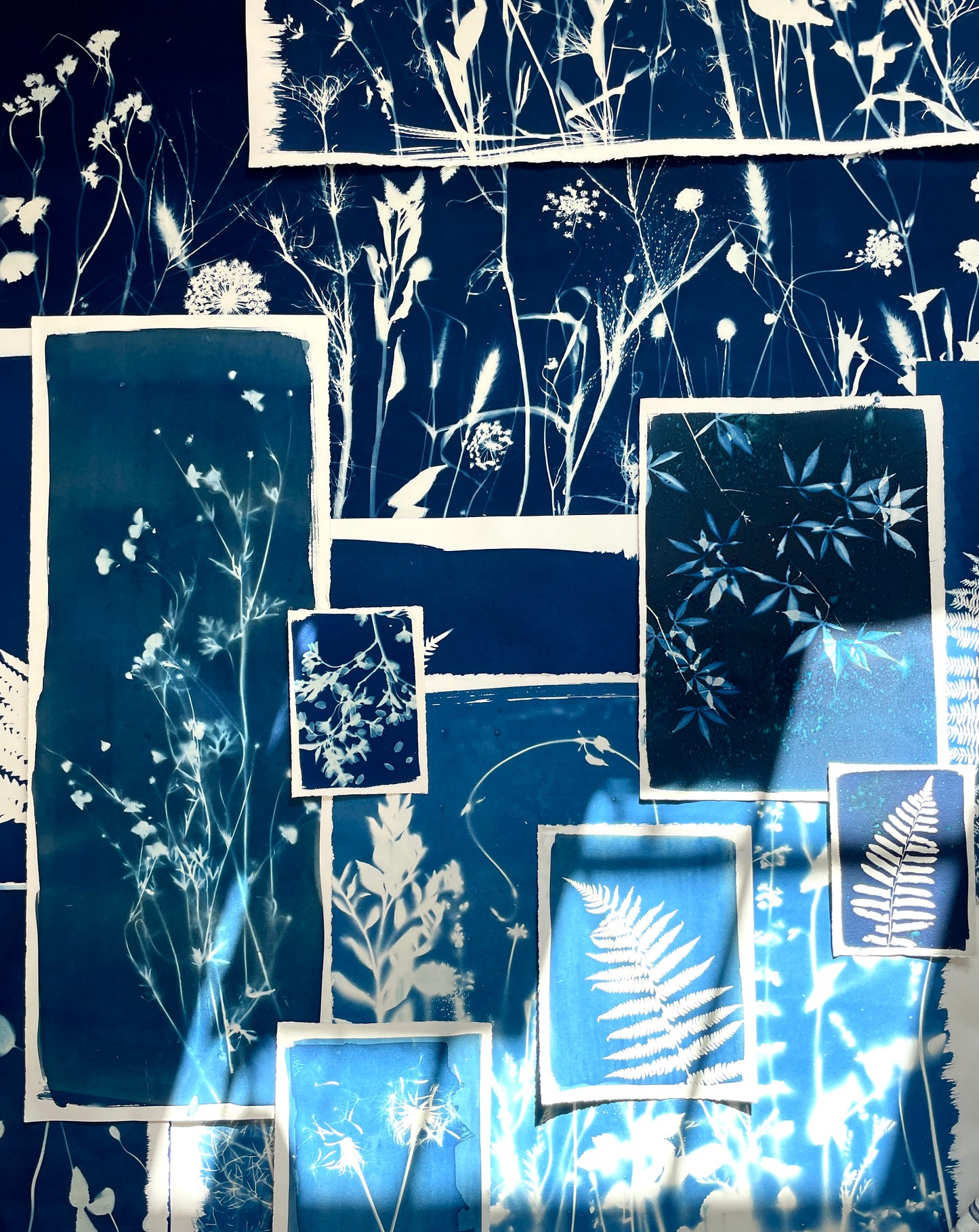 May 23 - Cyanotype Basics Workshop