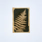 July 24 - Advanced Cyanotype Workshop