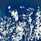 Internal Wilderness - UNFRAMED