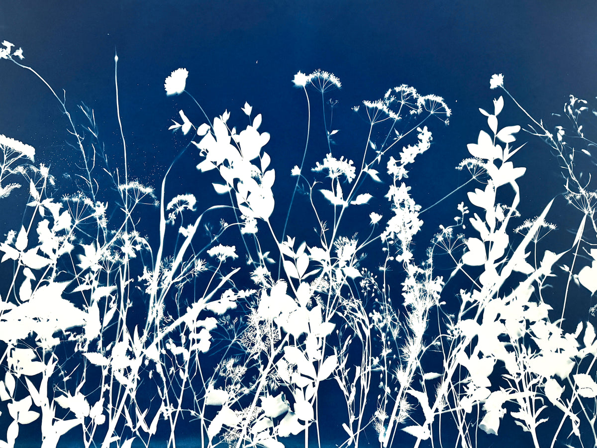 Internal Wilderness - UNFRAMED