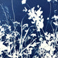 Internal Wilderness - UNFRAMED