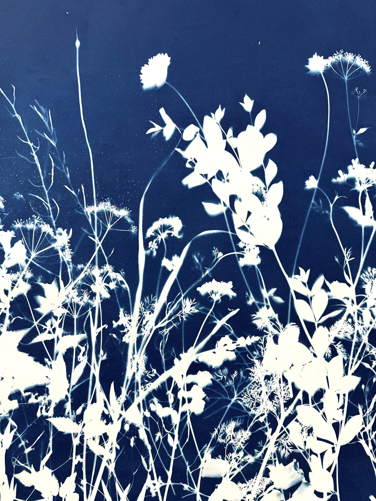 Internal Wilderness - UNFRAMED