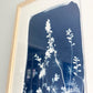 Internal Wilderness no. 2 - FRAMED