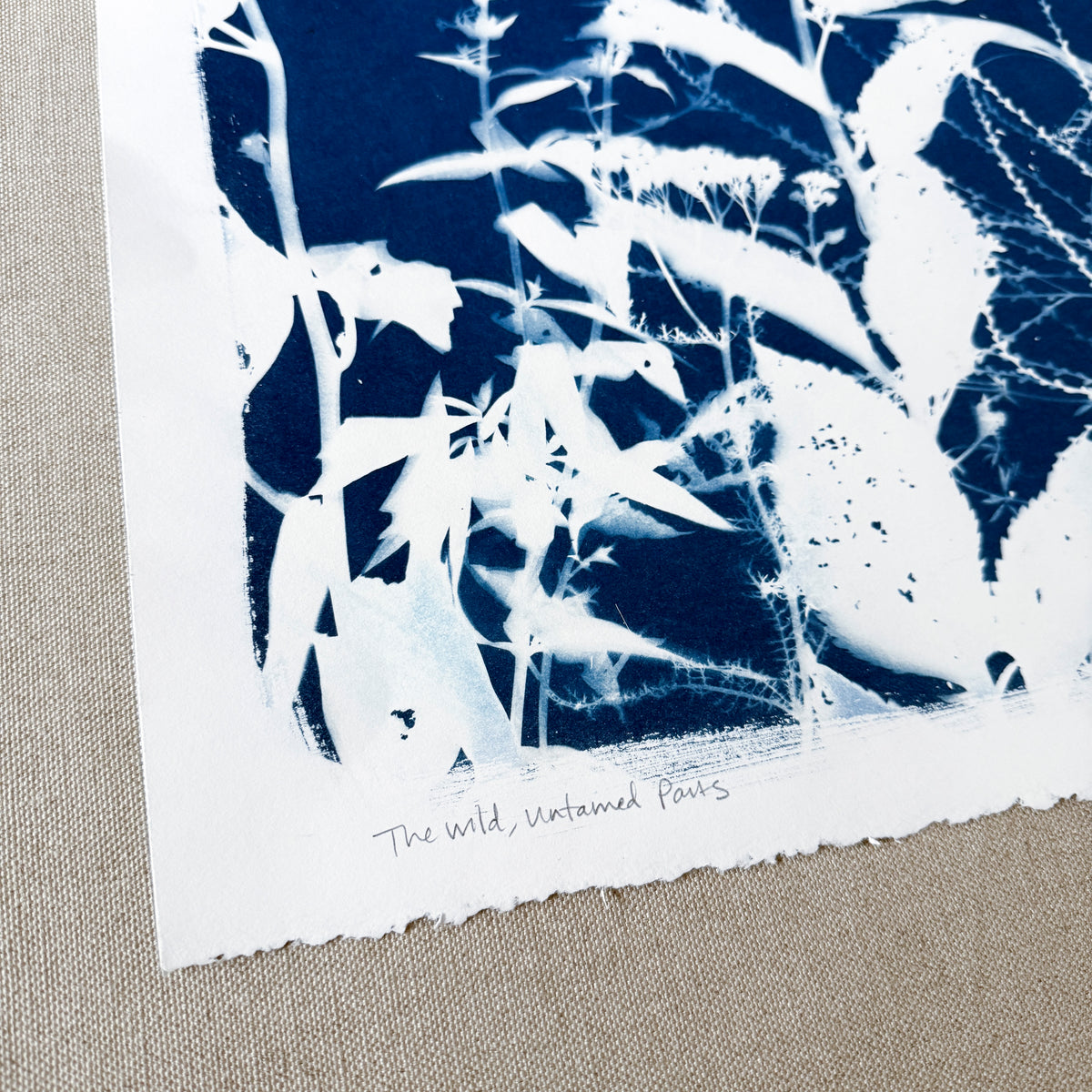 The Wild, Untamed Parts - UNFRAMED