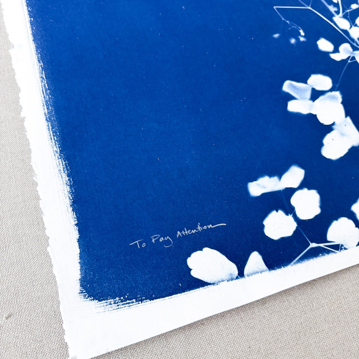 To Pay Attention - UNFRAMED