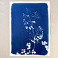 To Pay Attention - UNFRAMED