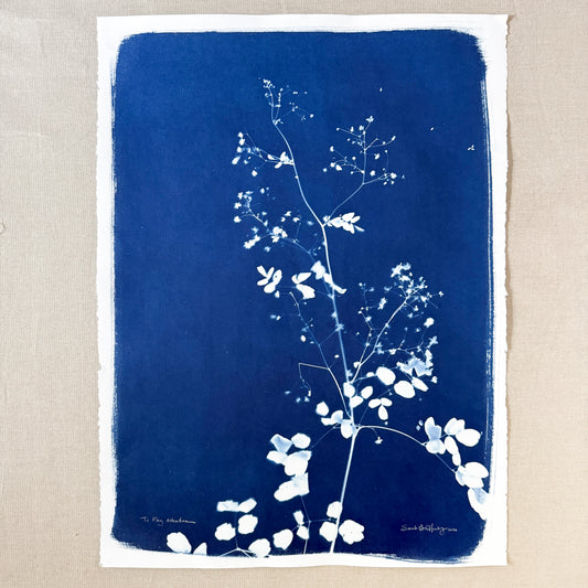 To Pay Attention - UNFRAMED