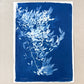 Changed by You - UNFRAMED