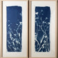 Whispers in the Garden no 2 - FRAMED