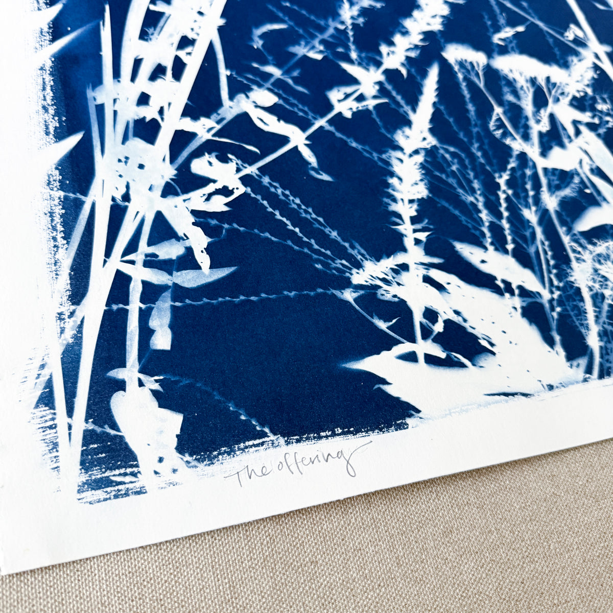 The Offering - UNFRAMED