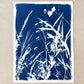 The Offering - UNFRAMED