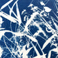 The Wild, Untamed Parts - UNFRAMED