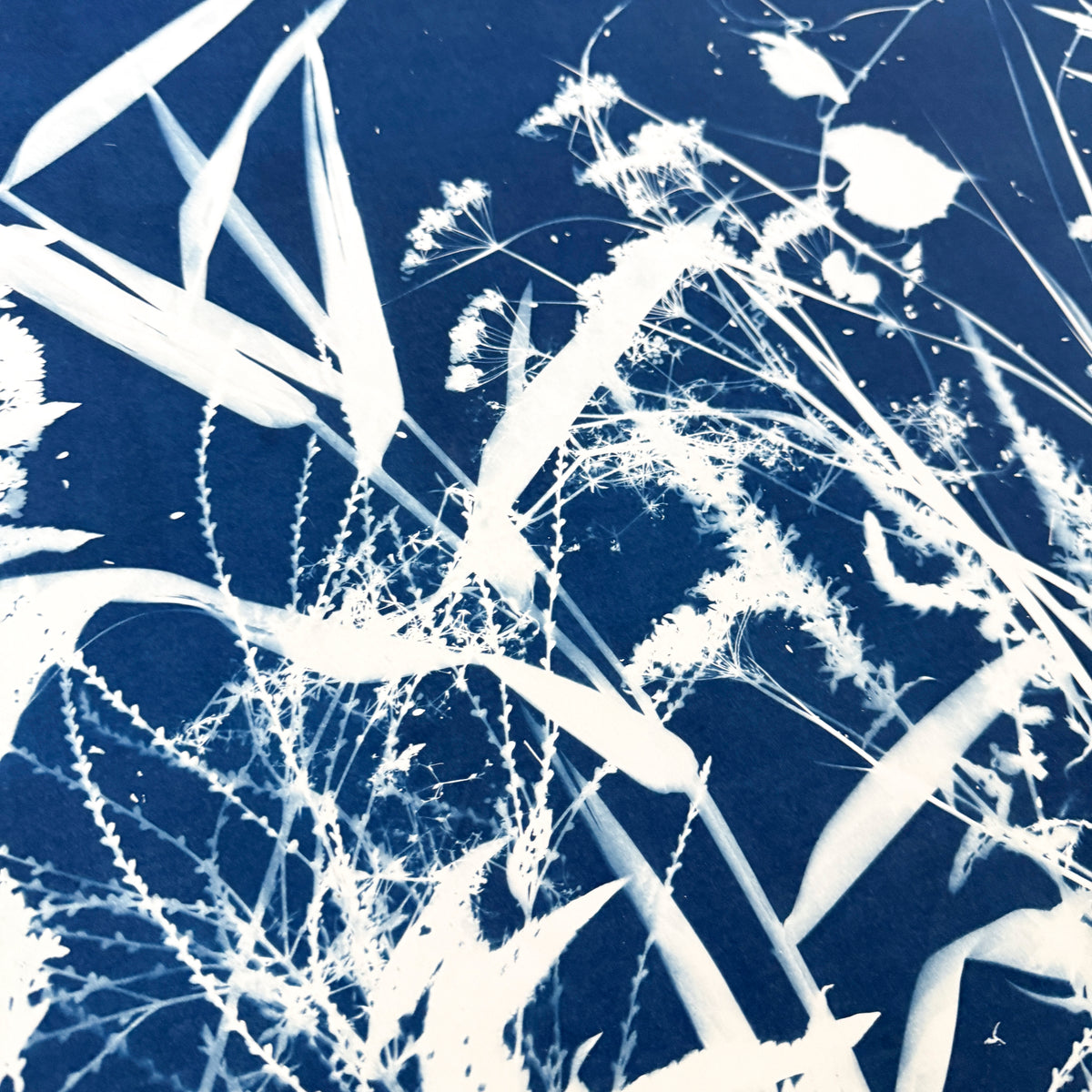 The Wild, Untamed Parts - UNFRAMED
