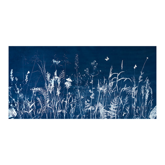 Lost in the Lavender - UNFRAMED