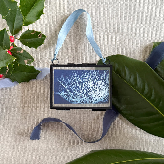 Sea Fan - Limited Edition Holiday Ornament