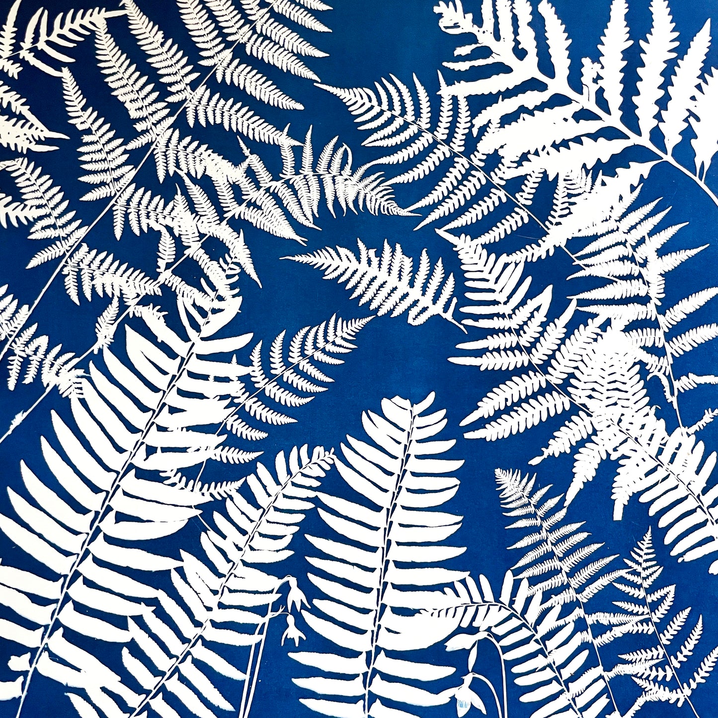 Fern Kaleidoscope - FRAMED
