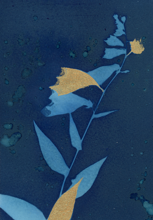 25 Days - Dec 1 - A World of Delights no. 1