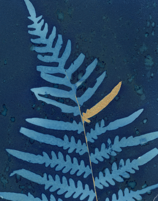 25 Days - Dec 2 - A World of Delights no. 2