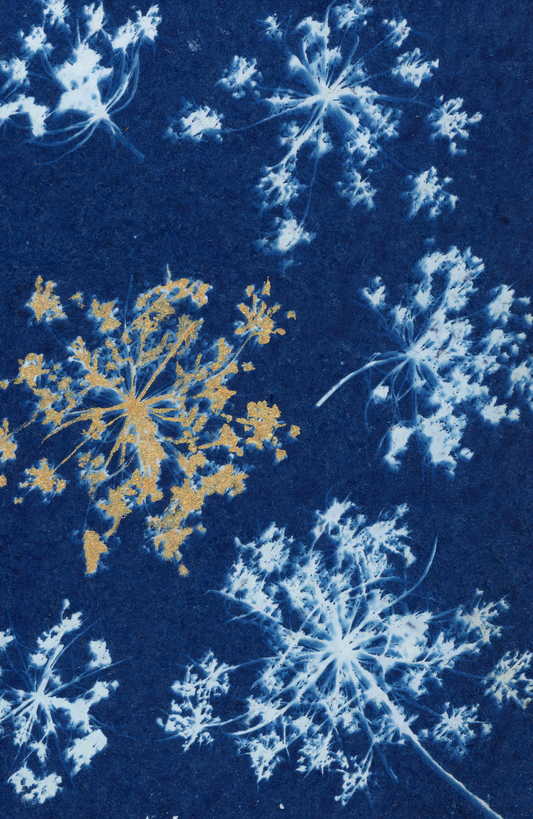 25 Days - Dec 5 - A World of Delights no. 5