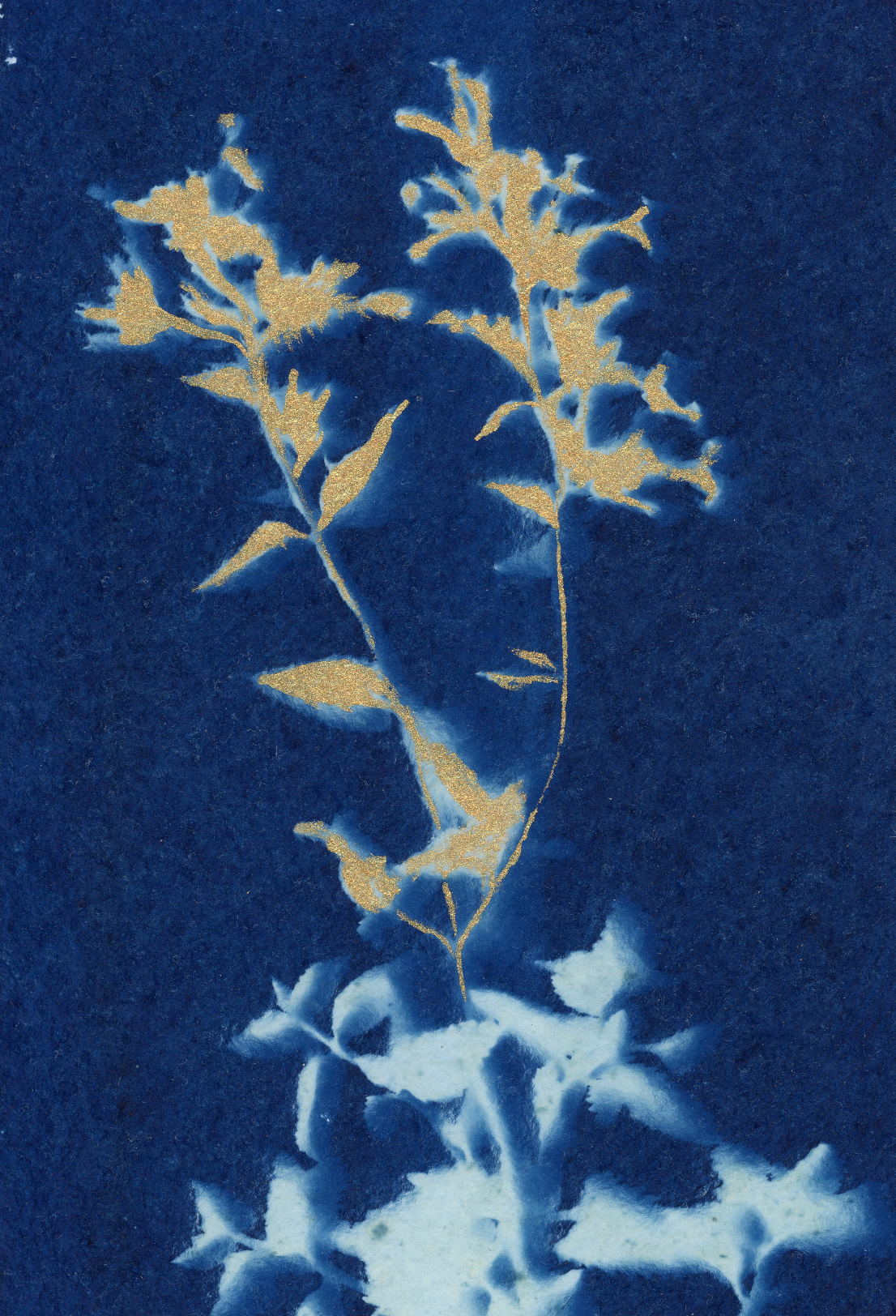 25 Days - Dec 7 - A World of Delights no. 7