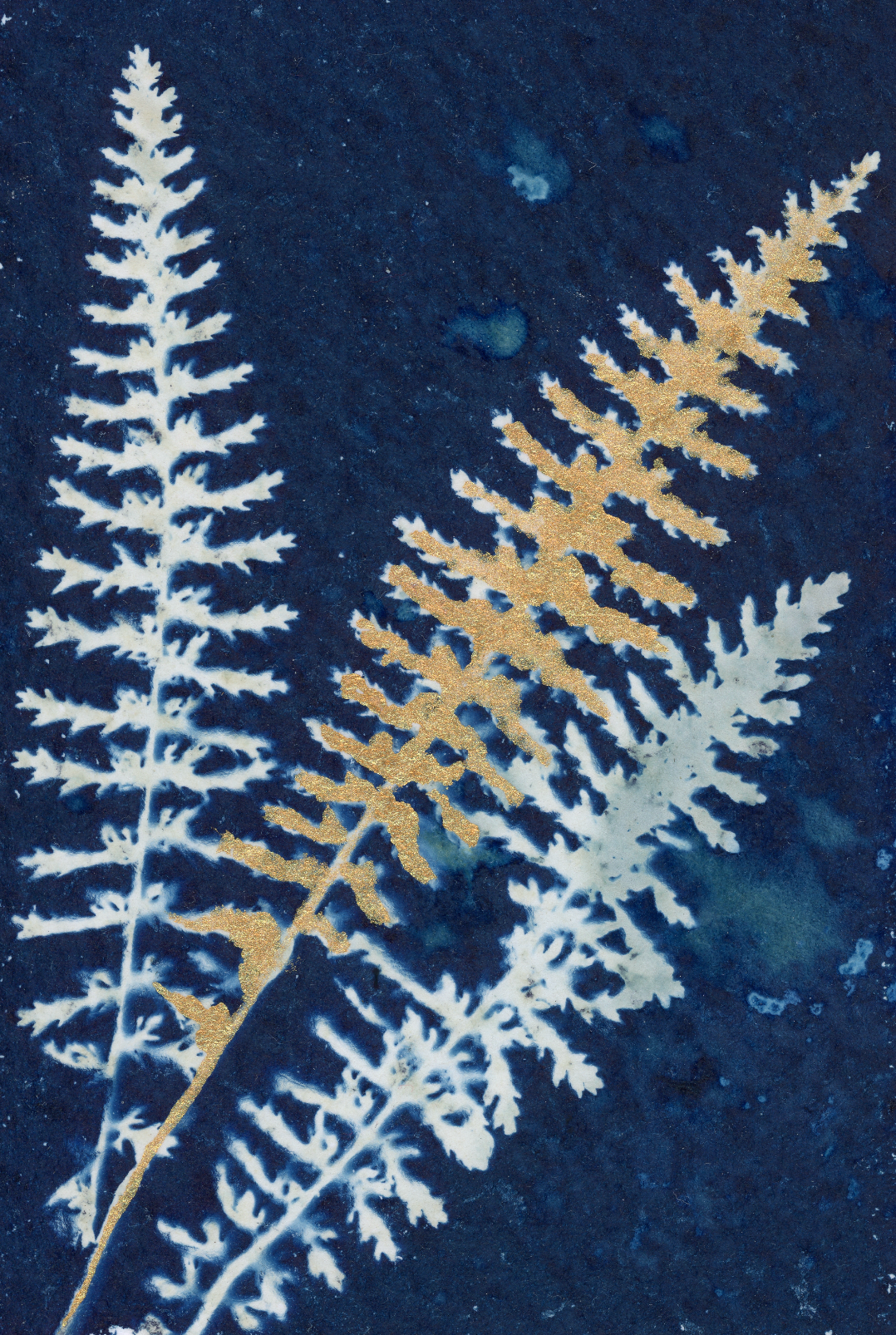 25 Days - Dec 9 - A World of Delights no. 9