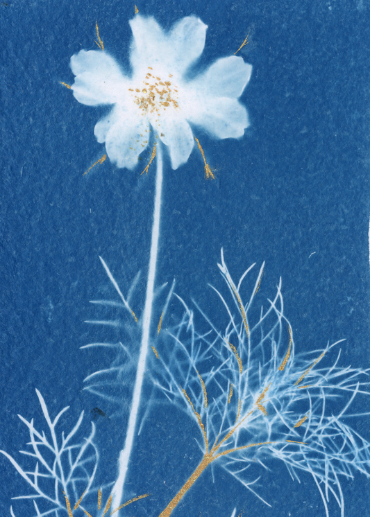 25 Days - Dec 11 - A World of Delights no. 11