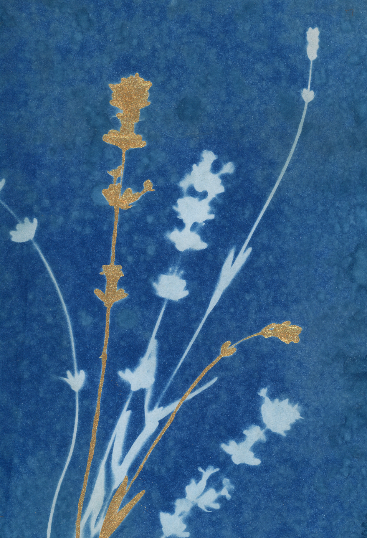 25 Days - Dec 14 - A World of Delights no. 14