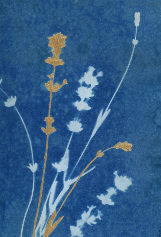 25 Days - Dec 14 - A World of Delights no. 14