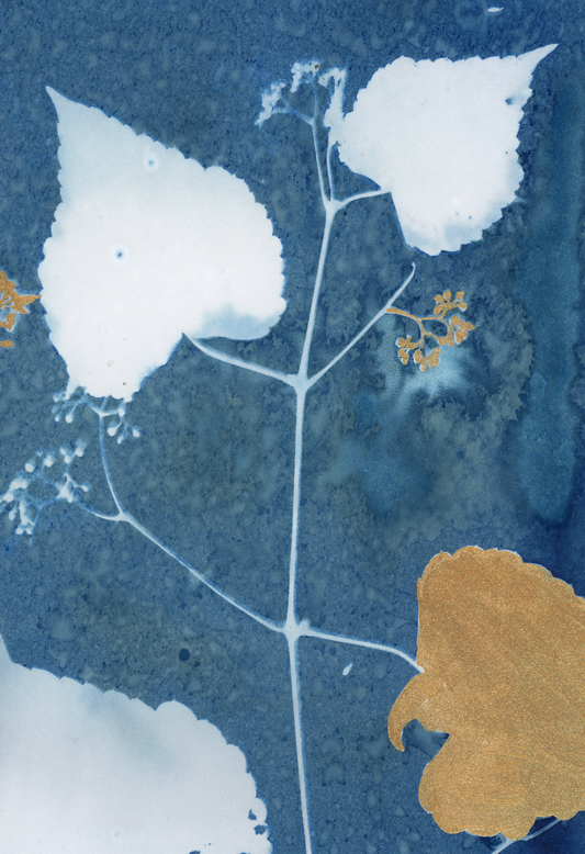 25 Days - Dec 24 - A World of Delights no. 24