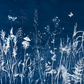Lost in the Lavender - UNFRAMED