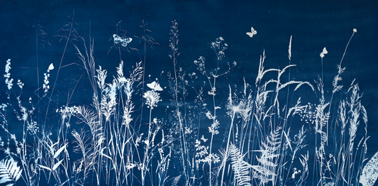 Lost in the Lavender - UNFRAMED