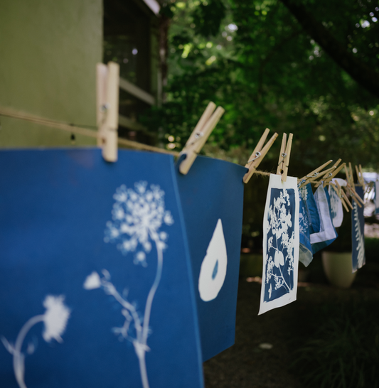 August 31 - Cyanotype on Fabric