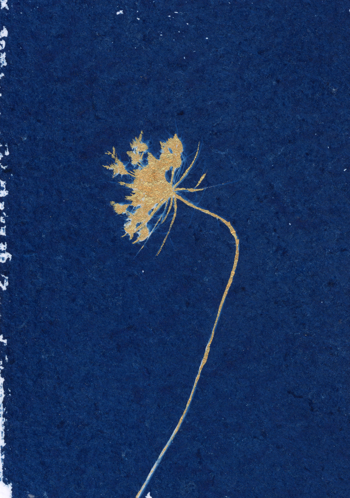 25 Days - Dec 3 - A World of Delights no. 3