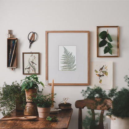 Skeleton Fern