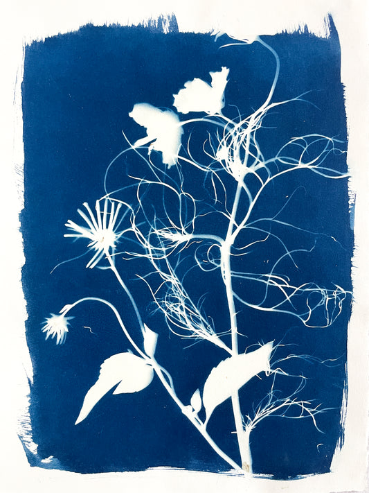 The Wild Garden no. 3