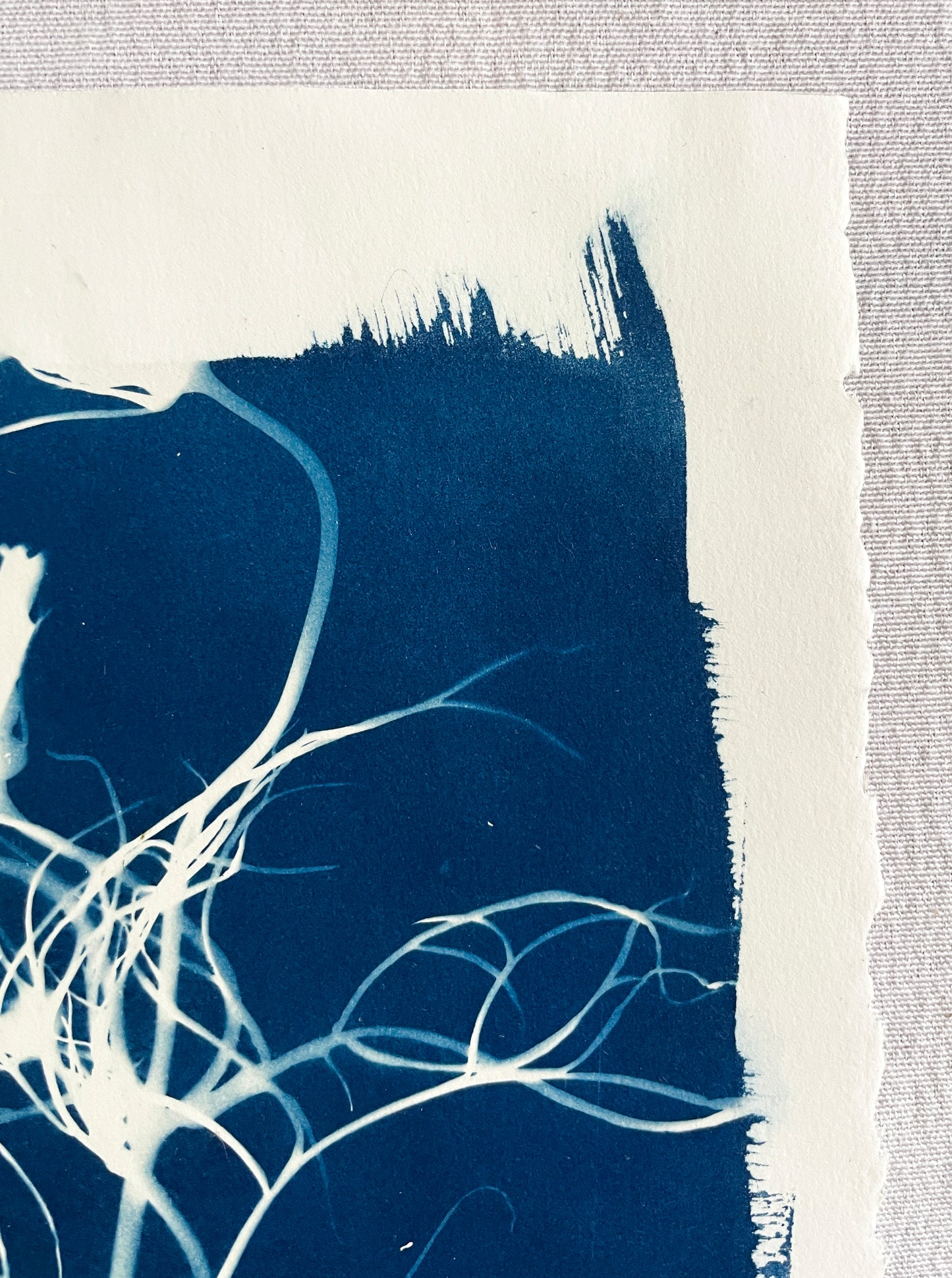 The Wild Garden no. 3