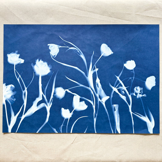 Tulip Dance no. 5 - 19.5" x 28" - UNFRAMED